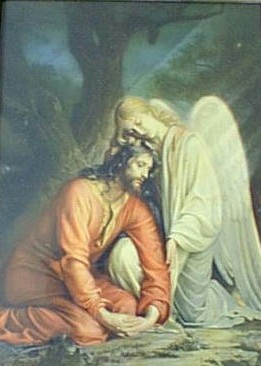 Comforted by an Angel